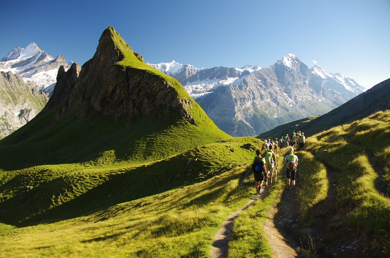 24h Hike Mammut_Ochsner 'Schwarzhorn_First 2166m' 18_08_2012 (77).JPG